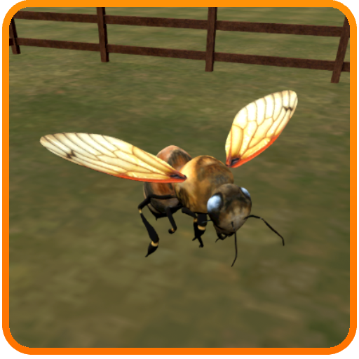 Animal Husbandry - Bee Keeping