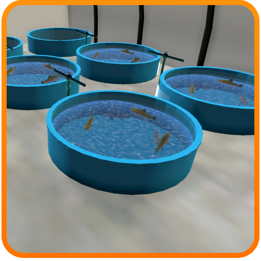 Animal Husbandry - Fish Farming
