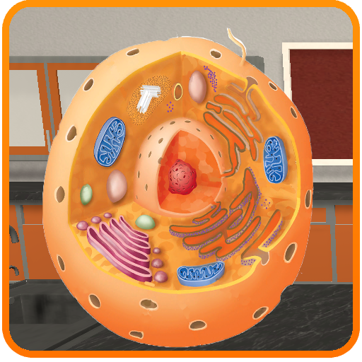 Fundamental Unit of Life