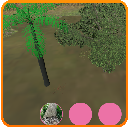 Getting to know plants-Parts