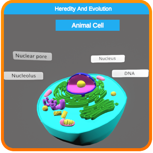 Heredity and Evolution