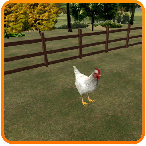 Animal Husbandry - Poultry Farming